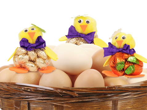 Carrot & Golden Egg Chicks